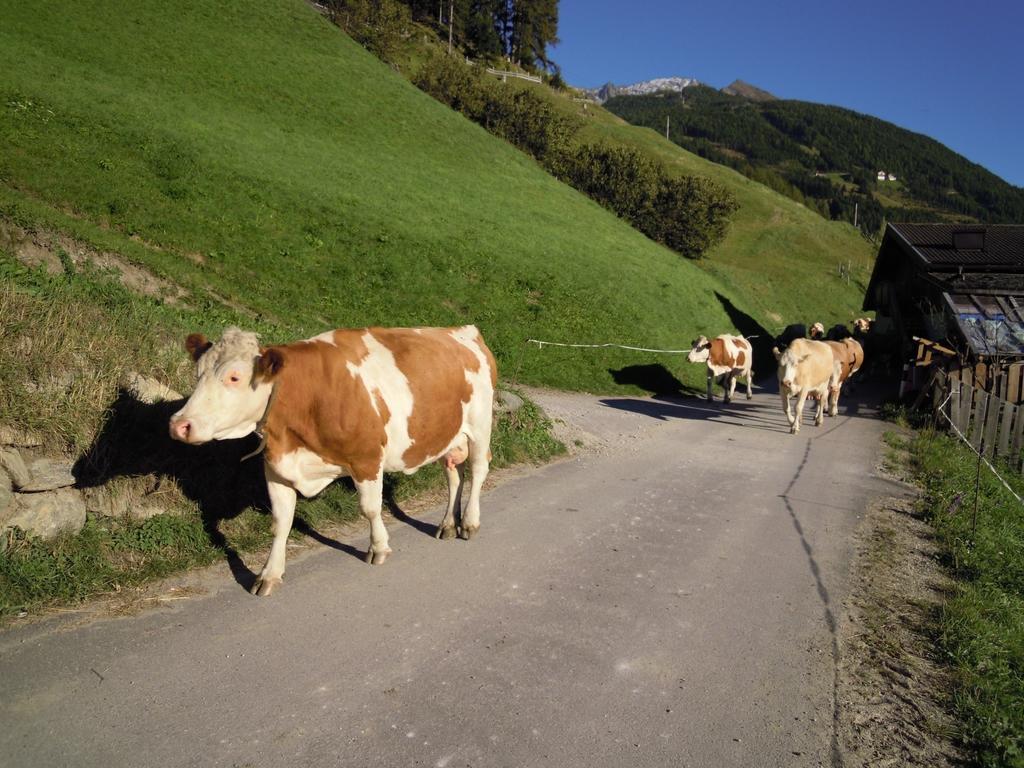 Apartamento Wachtlerhof Matrei in Osttirol Exterior foto