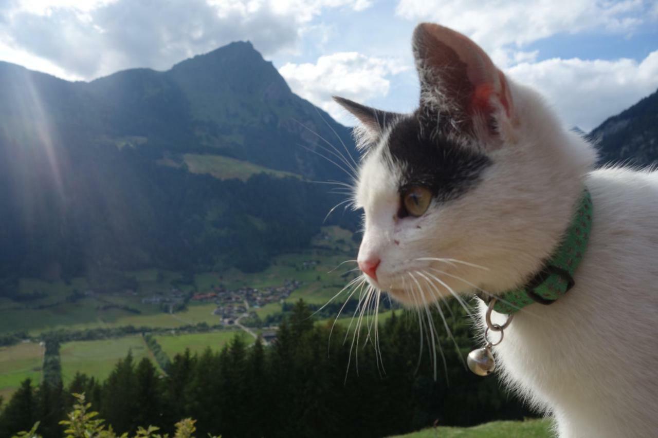 Apartamento Wachtlerhof Matrei in Osttirol Exterior foto